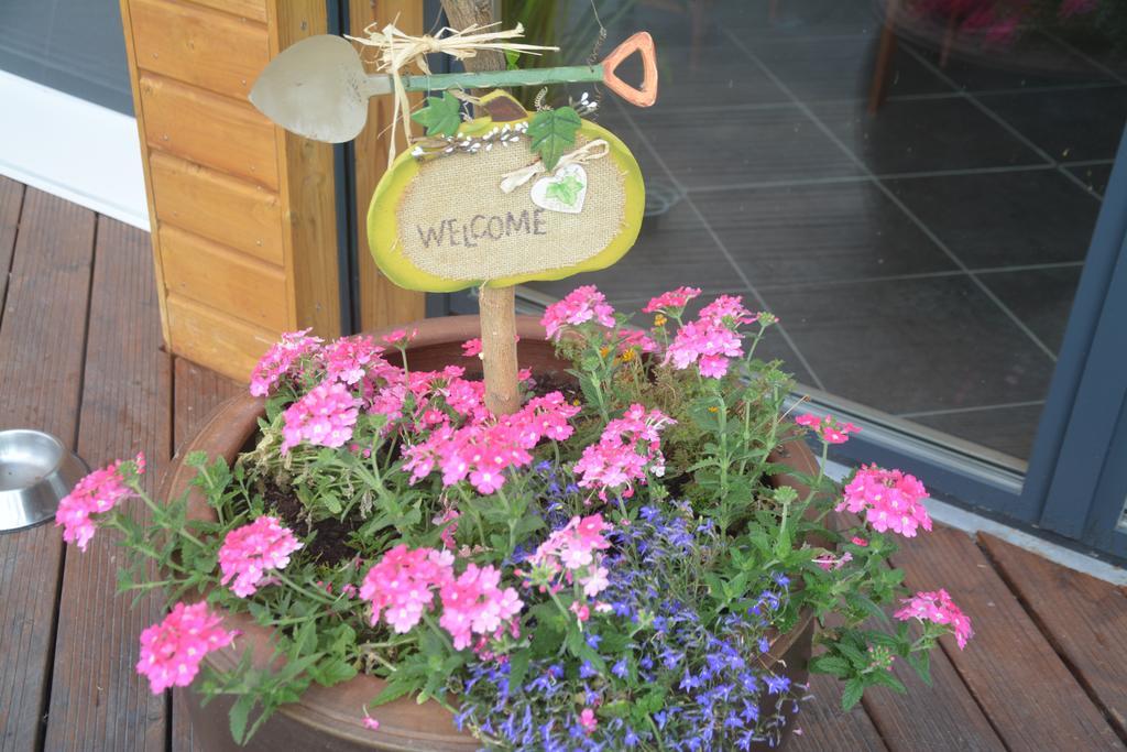 Les Condamines Bed & Breakfast Antoingt Dış mekan fotoğraf