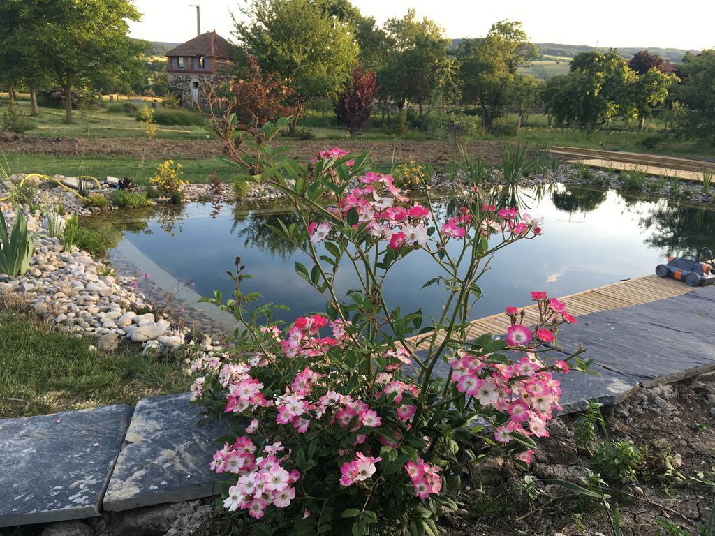 Les Condamines Bed & Breakfast Antoingt Dış mekan fotoğraf